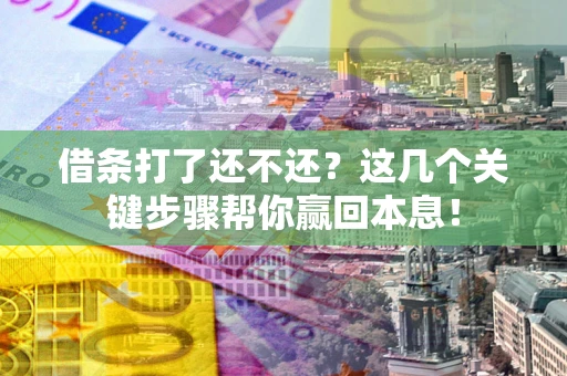 武汉借条打了还不还？这几个关键步骤帮你赢回本息！