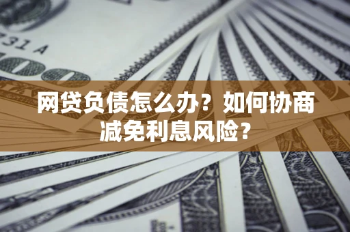 武汉网贷负债怎么办？如何协商减免利息风险？