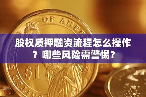 武汉股权质押融资流程怎么操作？哪些风险需警惕？