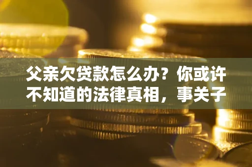 武汉父亲欠贷款怎么办？你或许不知道的法律真相，事关子女未来