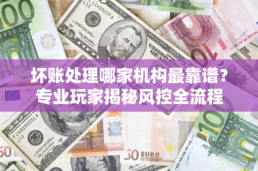 武汉坏账处理哪家机构最靠谱？专业玩家揭秘风控全流程