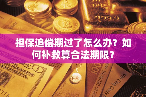 武汉担保追偿期过了怎么办？如何补救算合法期限？