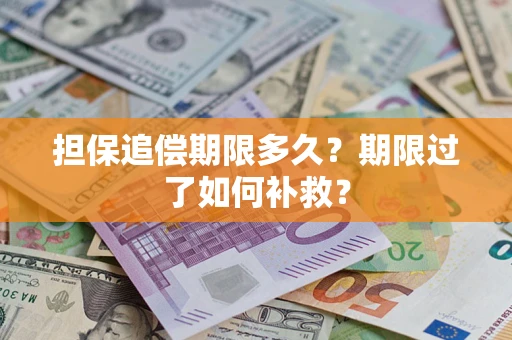 武汉担保追偿期限多久？期限过了如何补救？