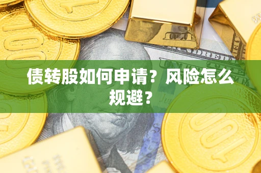 武汉债转股如何申请？风险怎么规避？