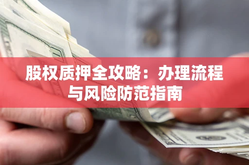 武汉股权质押全攻略：办理流程与风险防范指南