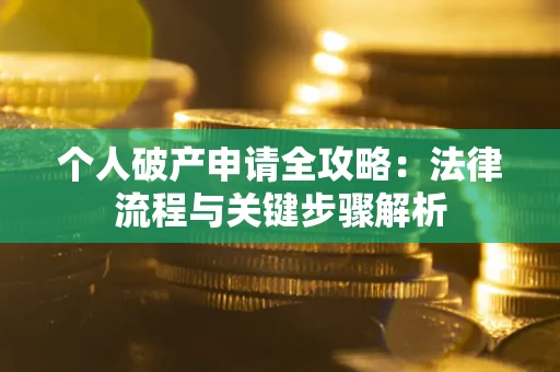 武汉个人破产申请全攻略：法律流程与关键步骤解析