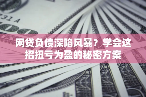 武汉网贷负债深陷风暴？学会这招扭亏为盈的秘密方案